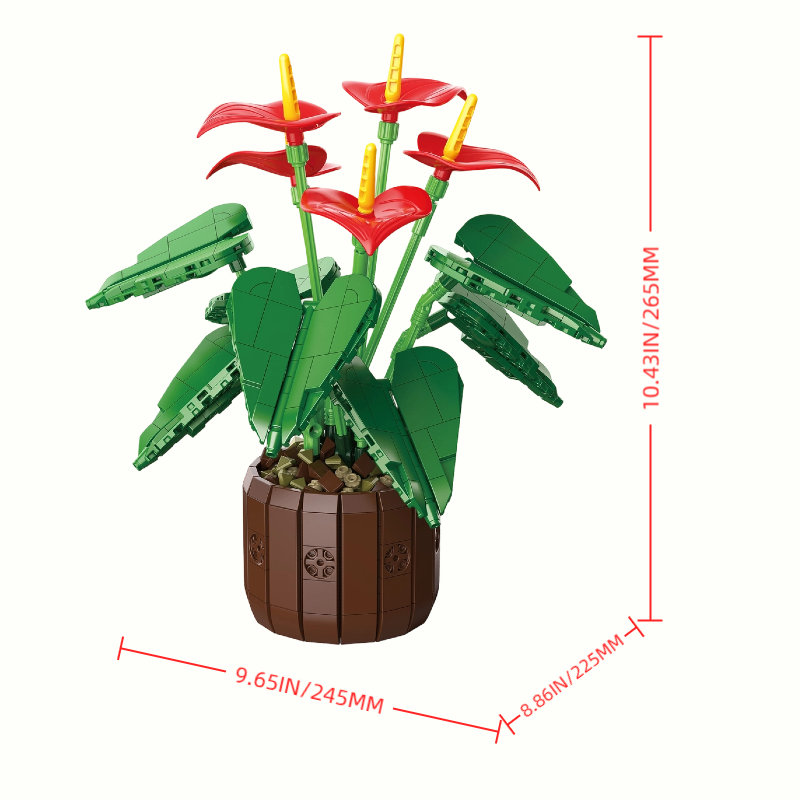 Size details of Anthurium Bonsai