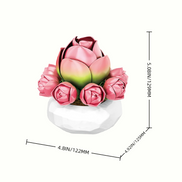Size details of Rose Succulent