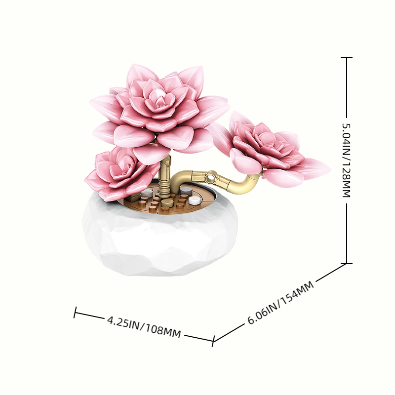 Size details of Graptopetalum Pentandrum