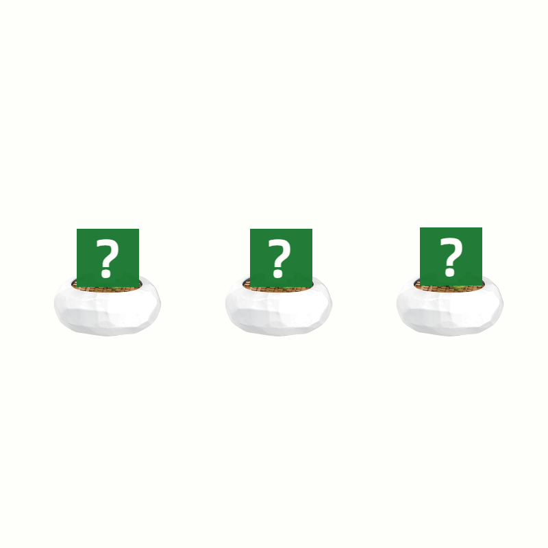 Choose any 3 items (pleasespecify in the order notes)