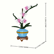 Size details of Orchid Potted Plants