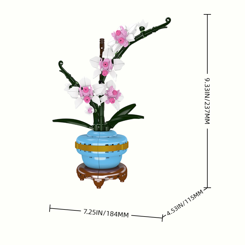 Size details of Orchid Potted Plants