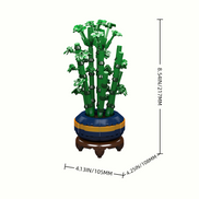Size details of Gourd Bamboo Bonsai