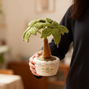 Crocheted Money Tree(Pachira Aquatica)