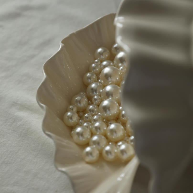 Seashell Jewelry Plate