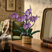 The Mavirea Potted Moth Orchid building kit styled in a cozy nook with floral wallpaper, a plaid throw, and a vintage mirror, emphasizing its realistic purple blooms as a timeless decorative piece.