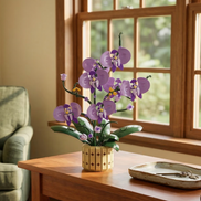A bright, sunlit view of the Mavirea Potted Moth Orchid brick flowers placed on a wooden side table by a window, showcasing it as a vibrant and maintenance-free eternal gift for any living space.