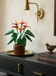 A vibrant Mavirea Anthurium Bonsai building set styled on a sleek dark sideboard, paired with a gold tray and minimalist decorative books, showcasing its bold red petals as a high-end home decor accent.