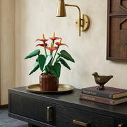A vibrant Mavirea Anthurium Bonsai building set styled on a sleek dark sideboard, paired with a gold tray and minimalist decorative books, showcasing its bold red petals as a high-end home decor accent.