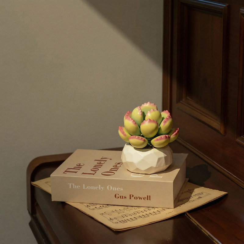 A Mavirea building block succulent resting on a classic book atop a wooden piano, blending eternal nature with a vintage home aesthetic.