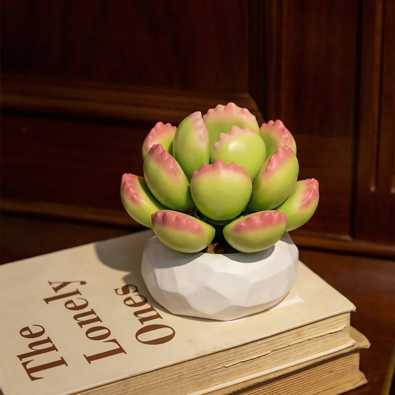 Close-up of a vibrant green and pink Mavirea succulent brick set on a stack of books, a maintenance-free and stylish desk companion.