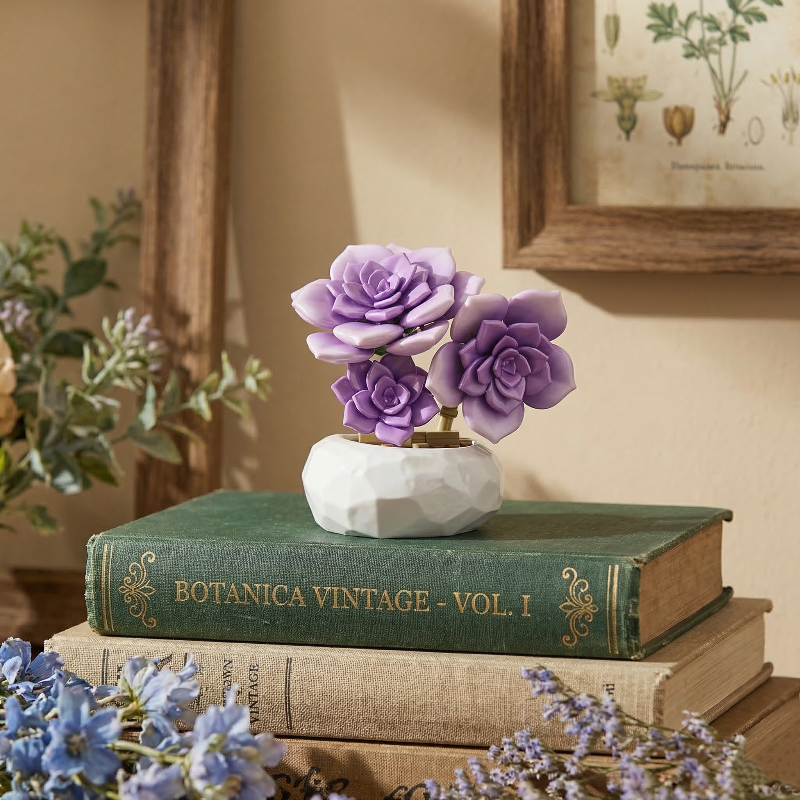 Elegant Mavirea purple rosette succulents arranged on stacked vintage botanical books, perfect for creating a timeless and sophisticated interior.