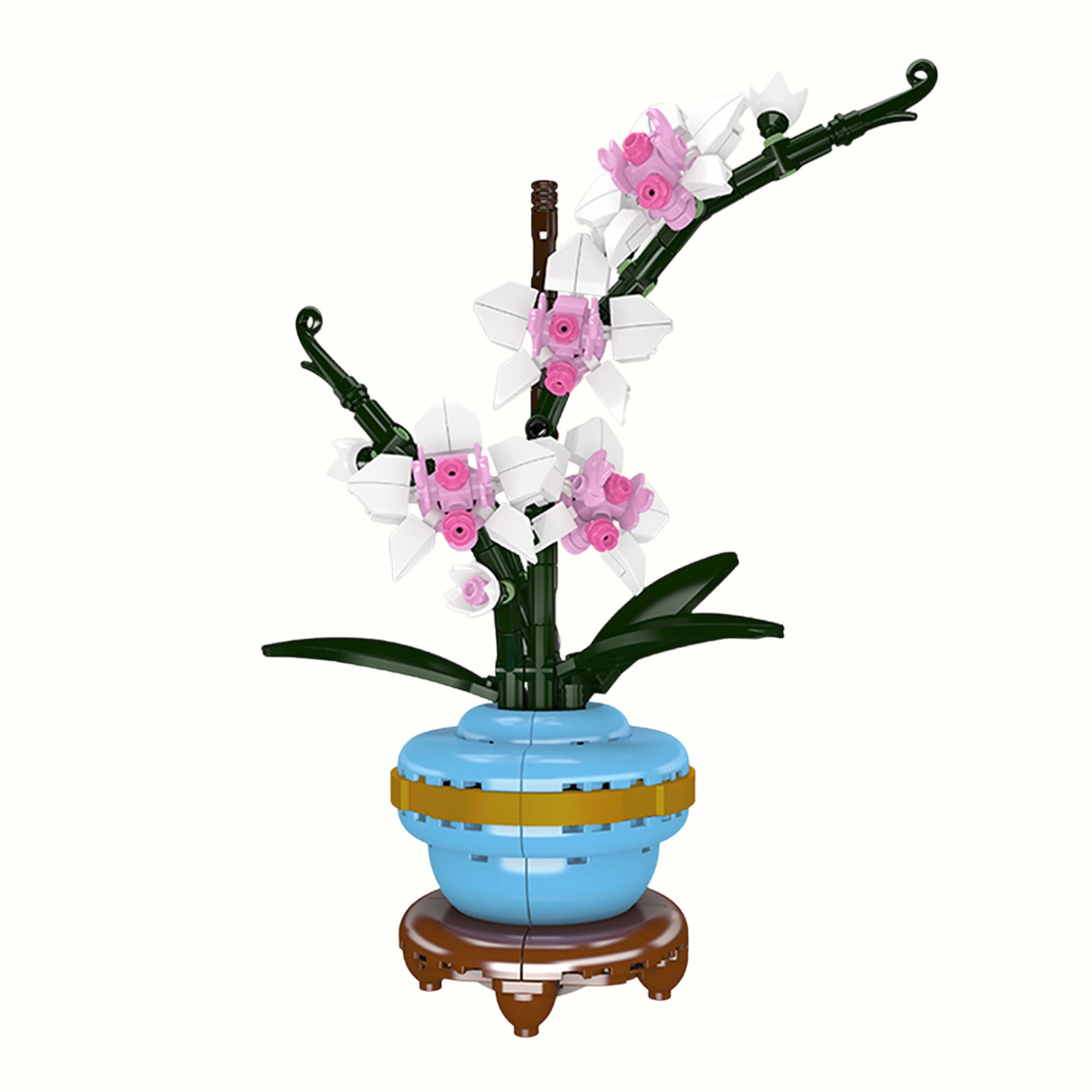 Front view of Orchid Potted Plants