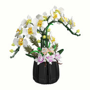 Front view of White Orchid Potted Plant