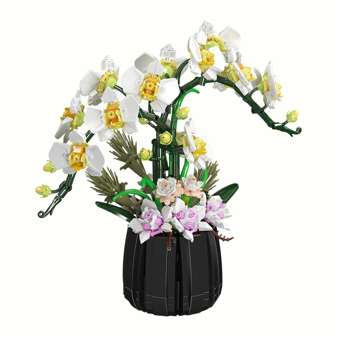 Front view of White Orchid Potted Plant