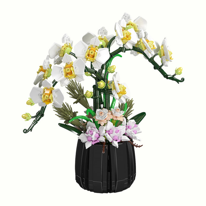 Front view of White Orchid Potted Plant