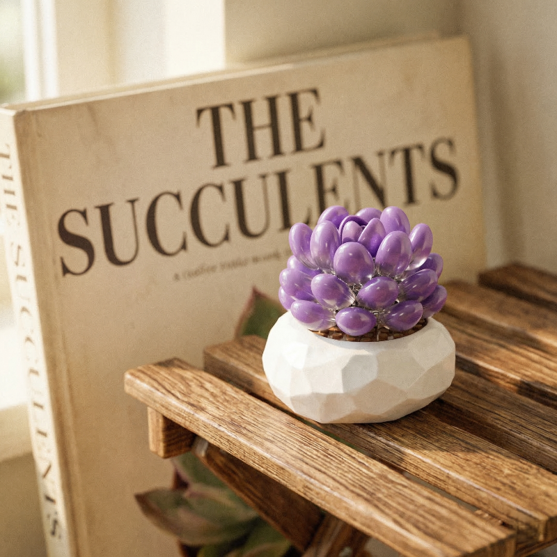 A purple Mavirea‘s building block succulent in a white geometric pot, styled in front of "The Succulents" book for a cozy, academic home decor vibe.