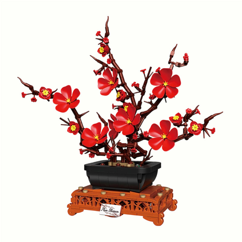 Front view of Plum Blossom Potted