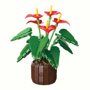 Front view of Anthurium Bonsai