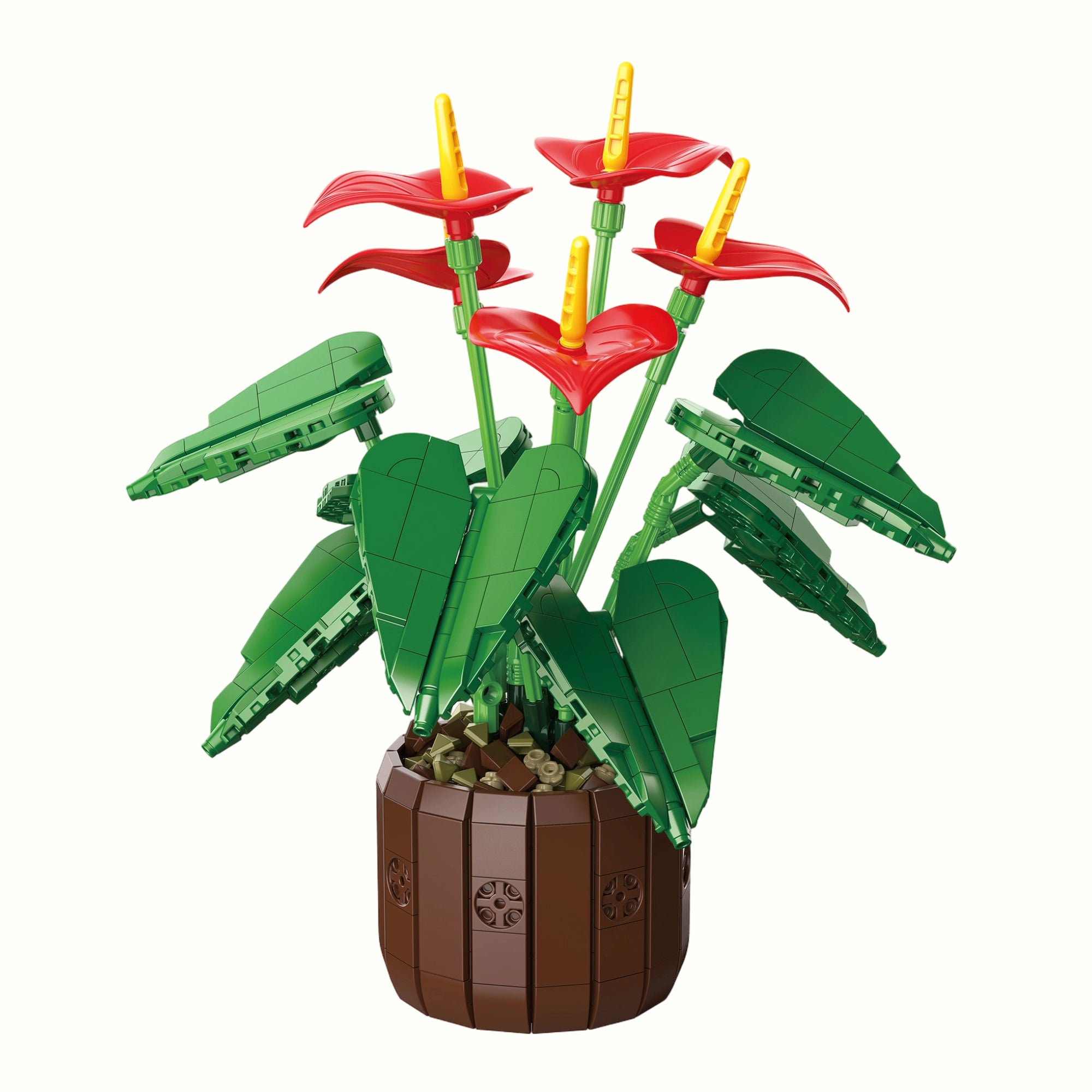 Front view of Anthurium Bonsai